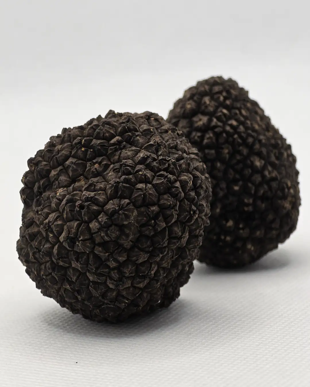 crni-letnji-svez-tartuf-60g-platinum-truffles.webp.webp