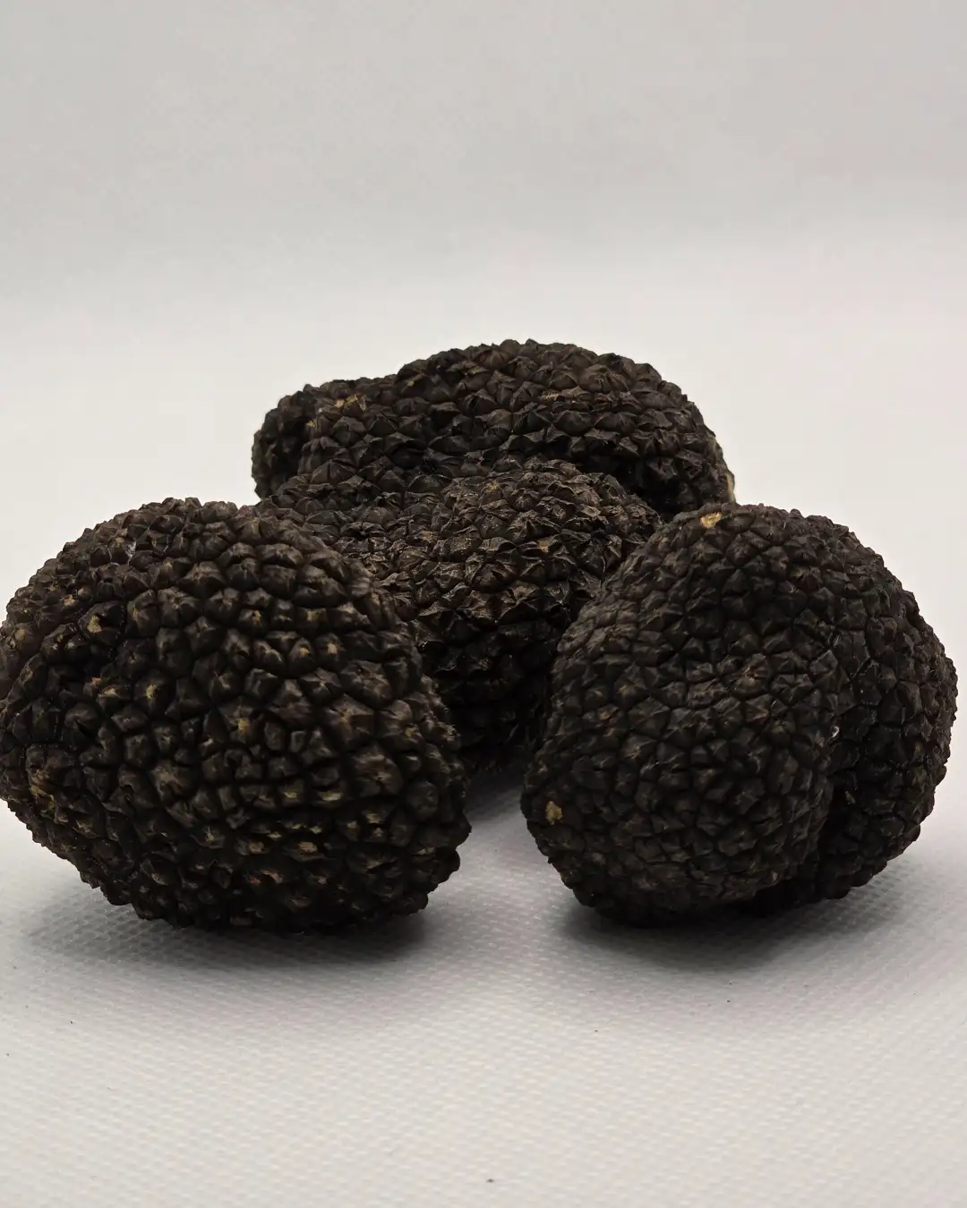crni-letnji-svez-tartuf-90g-platinum-truffles.webp.webp