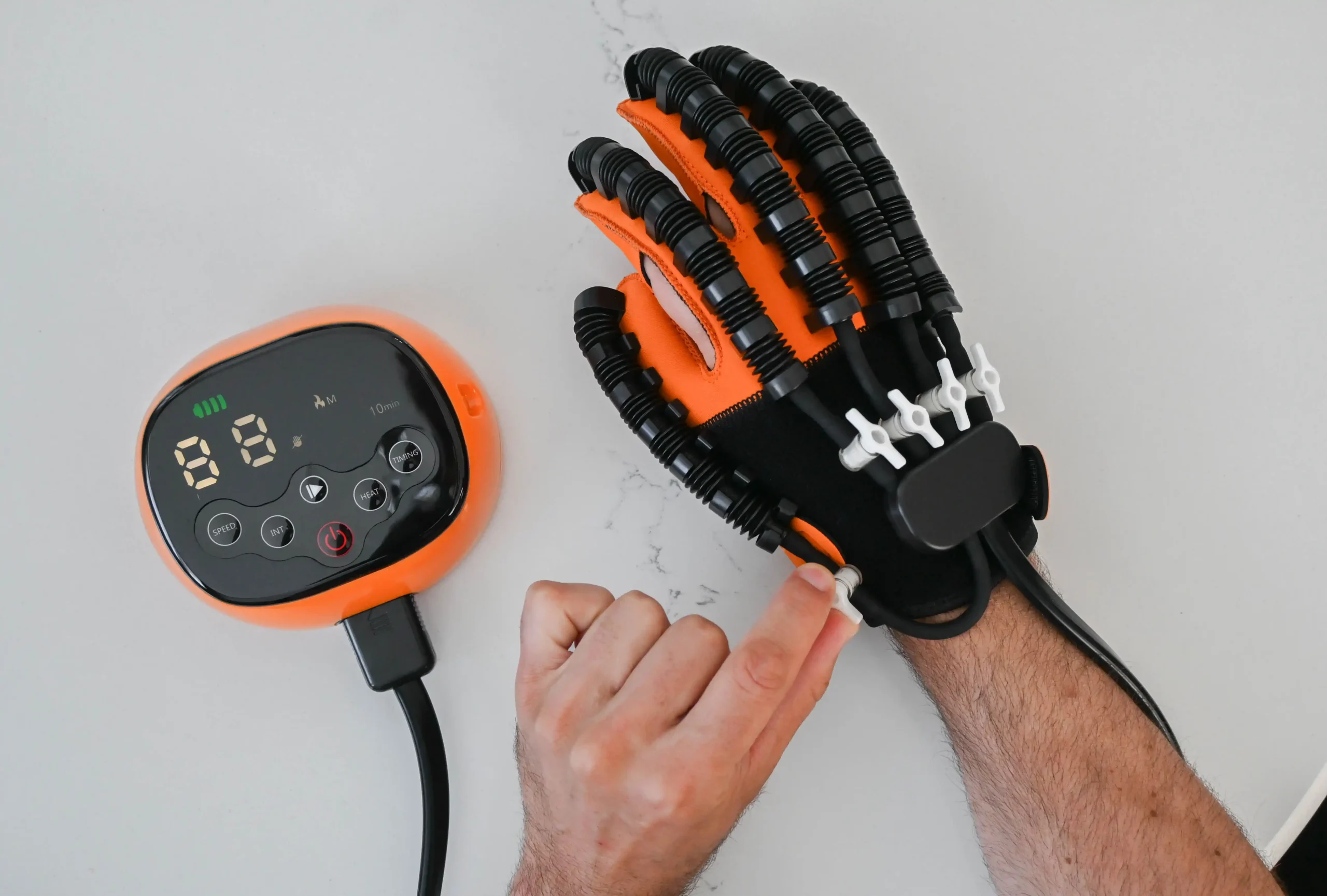 Synapta MT-11